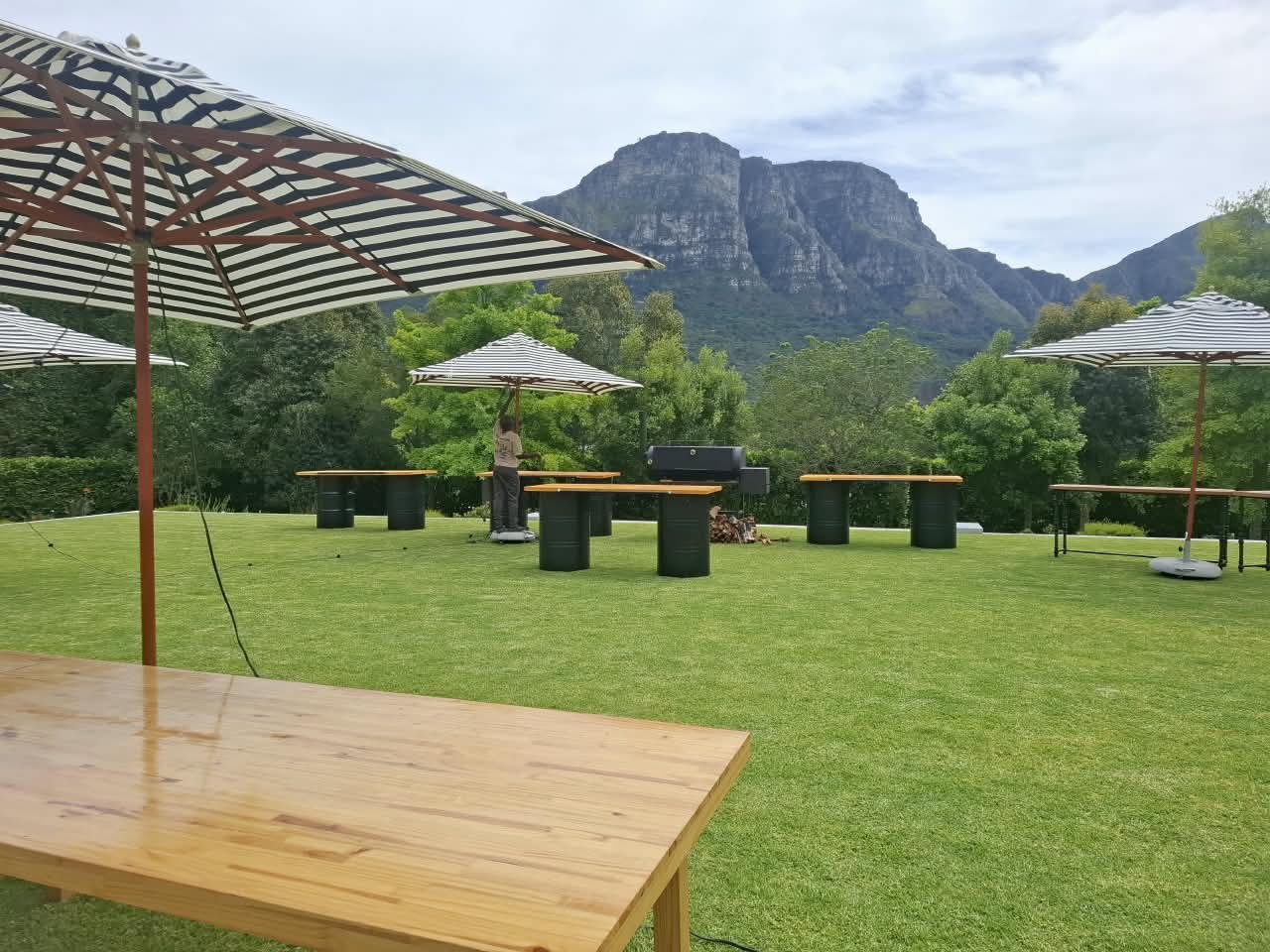Mountain backdrop and garden setup