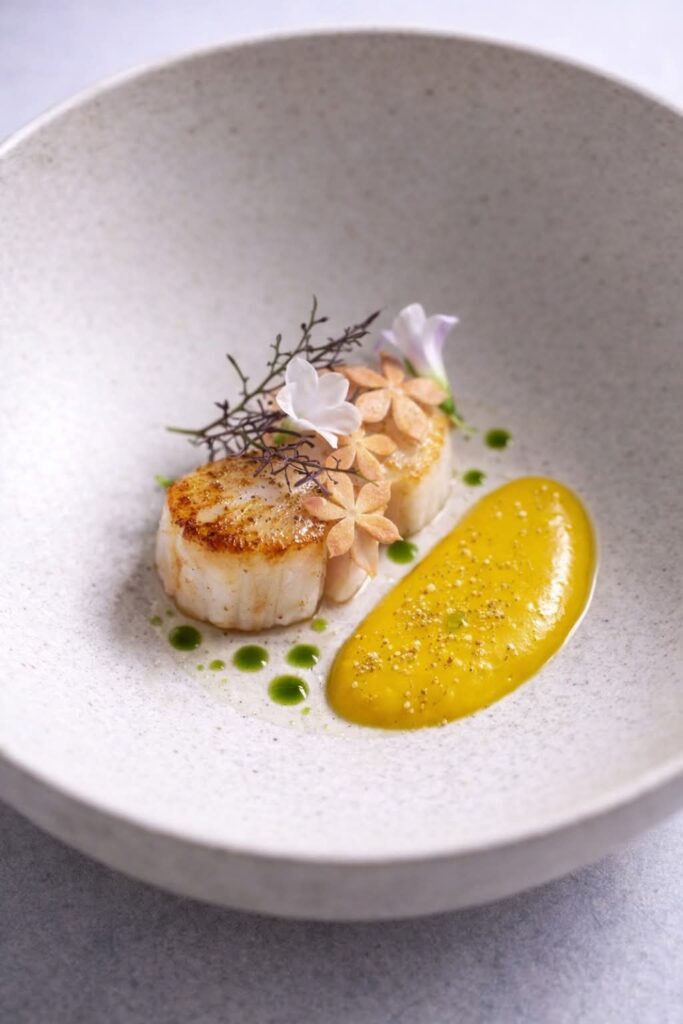 Queen scallop, sweet potato puree — staging demonstration
